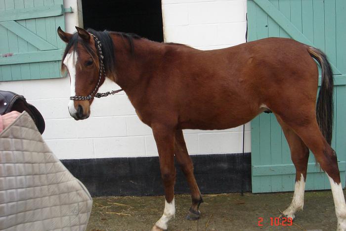 Photo de profil de maldoror