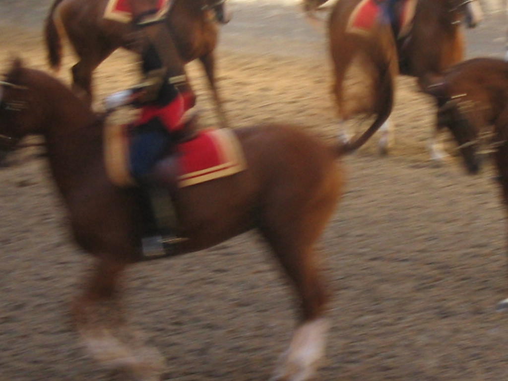 Photo de profil de mana