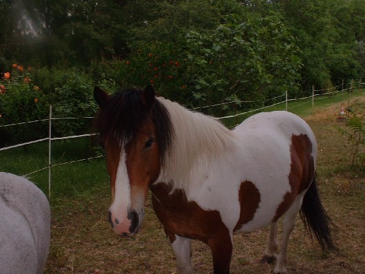 Photo de profil de manon