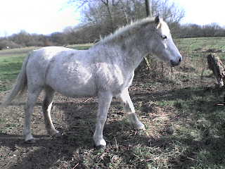 Photo de profil de marie69flora