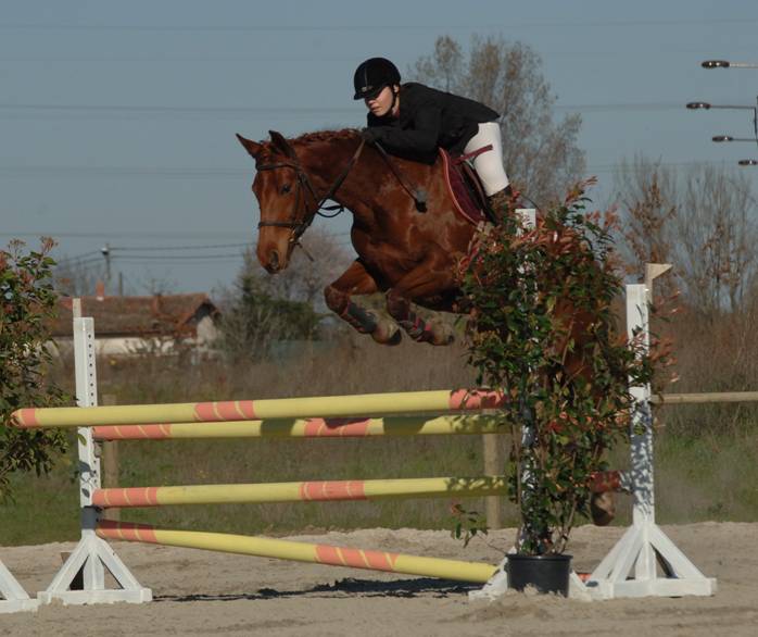 Photo de profil de mariktchu