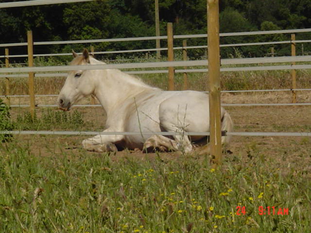 Photo de profil de marilyne