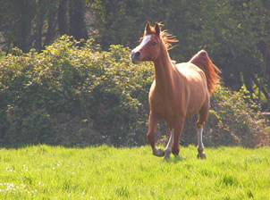 Photo de profil de matamore