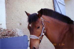 Photo de profil de mathilde0612