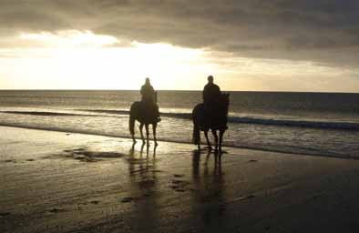 Photo de profil de maxlej