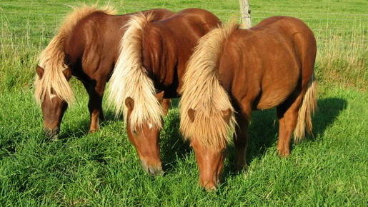 Photo de profil de meli47