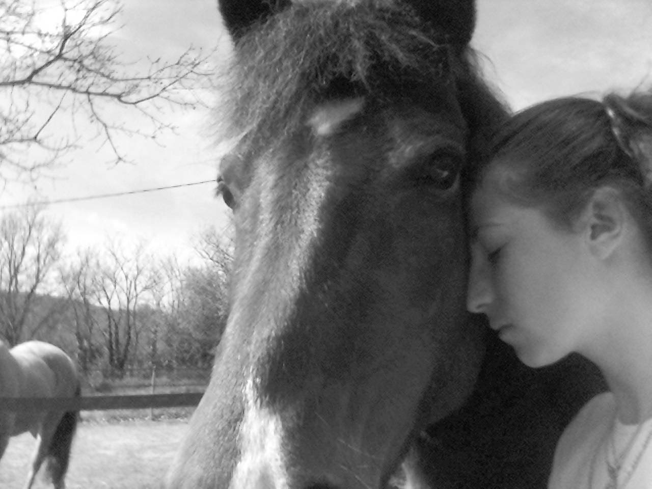 Photo de profil de melia