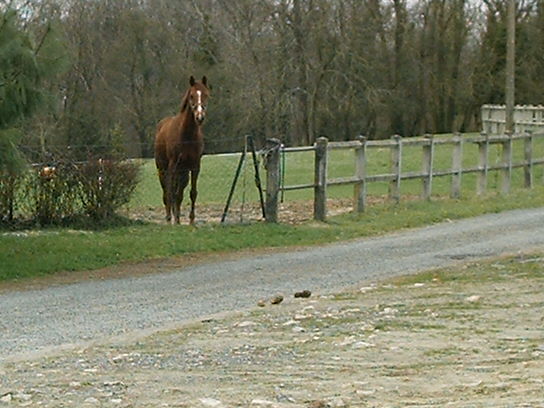 Photo de profil de melimelo
