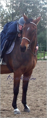 Photo de profil de missline