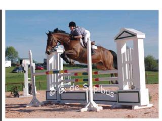 Photo de profil de mitchou82