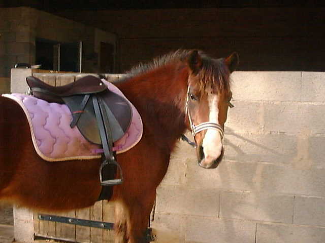 Photo de profil de mouah