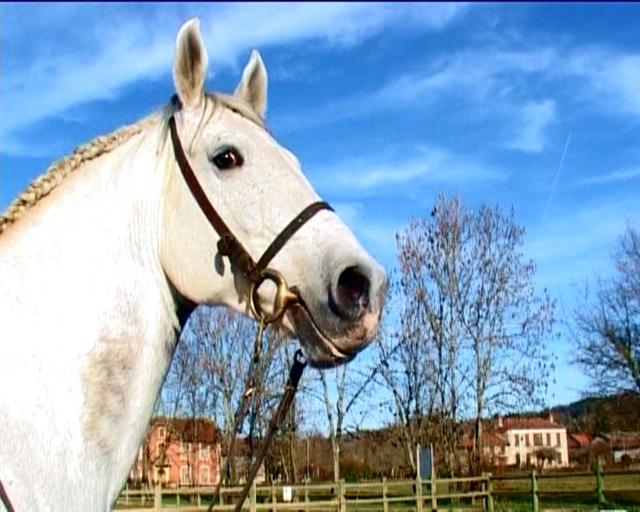 Photo de profil de mpk