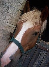 Photo de profil de mystic