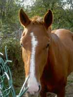 Photo de profil de nanou77