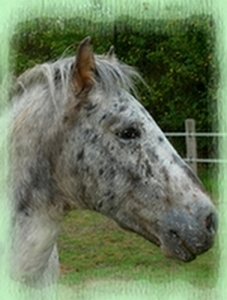 Photo de profil de nawack-tippy