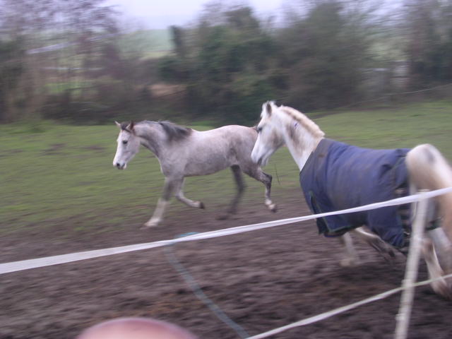 Photo de profil de nedja