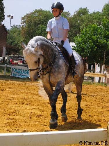Photo de profil de nini18