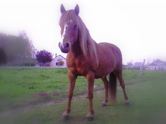 Photo de profil de nnewlon