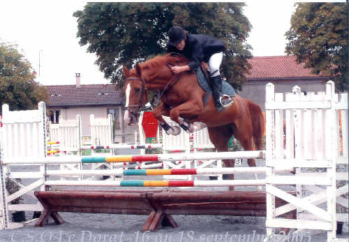 Photo de profil de norway