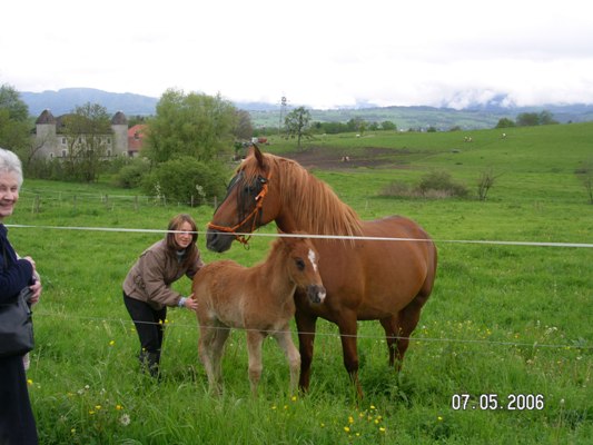 Photo de profil de nyrvana