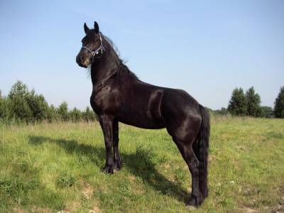 Photo de profil de oror77g