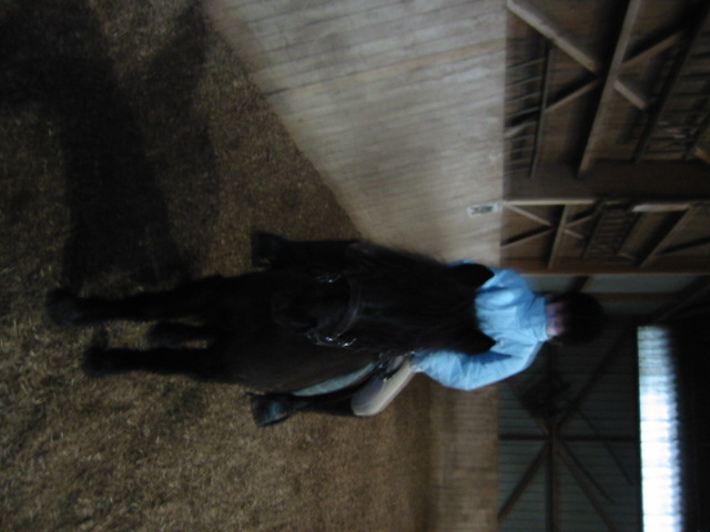 Photo de profil de p0nies92