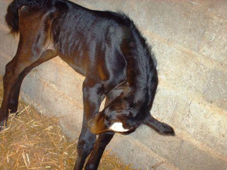 Photo de profil de paprika60