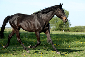 Photo de profil de paques