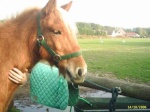 Photo de profil de petit-pied76