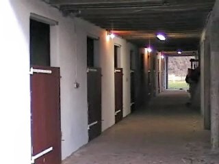 Photo de profil de polecheval