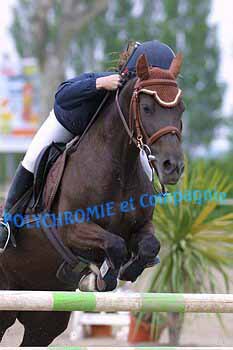 Photo de profil de proni