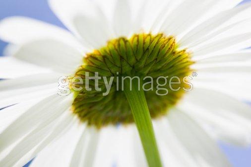 Photo de profil de ptitange