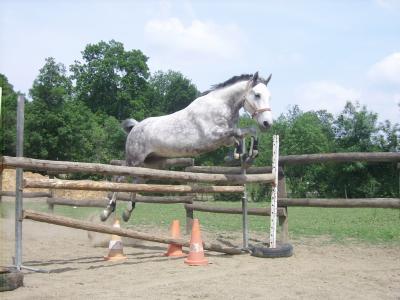 Photo de profil de ptitjumper