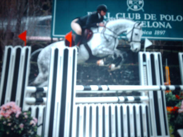 Photo de profil de qais