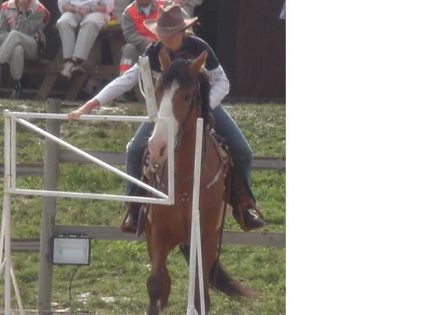 Photo de profil de rom26