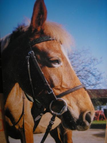 Photo de profil de roxy68