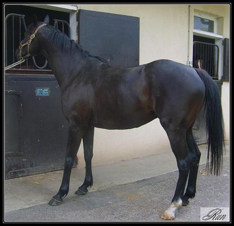 Photo de profil de runtome