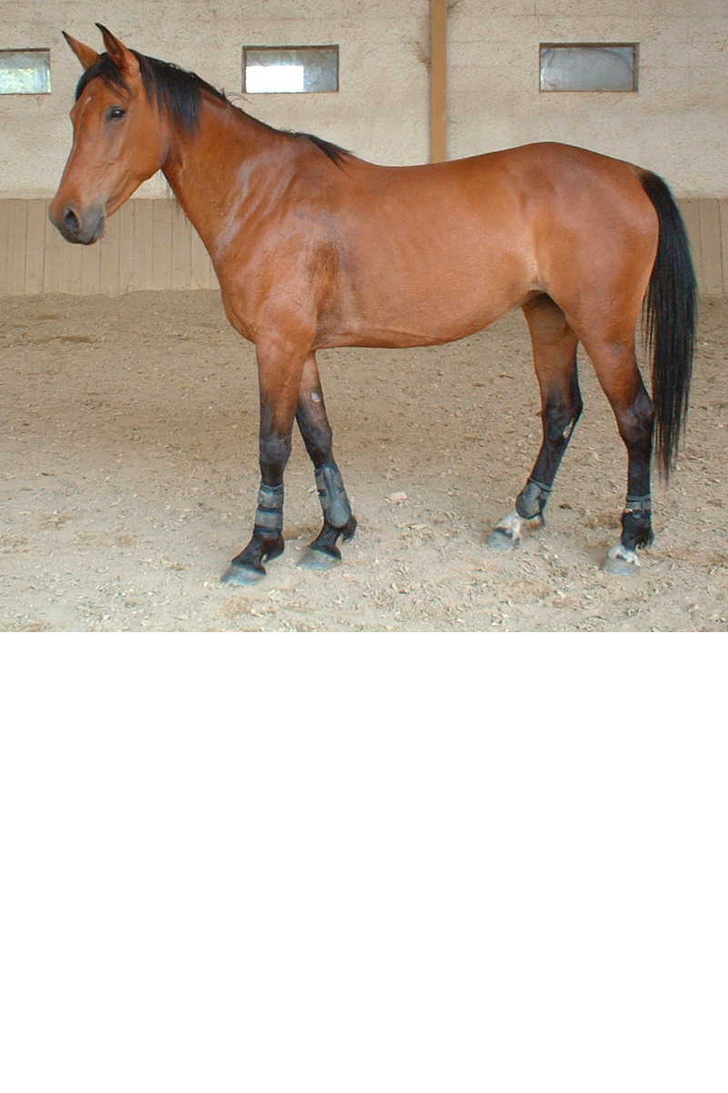 Photo de profil de saista