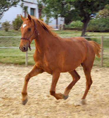 Photo de profil de saria