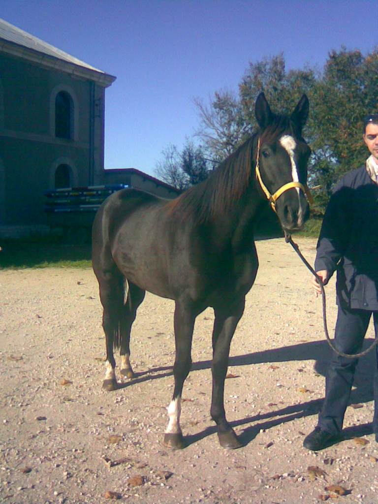 Photo de profil de schlurp18