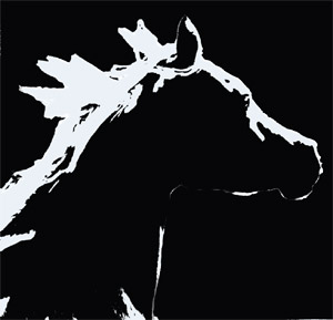 Photo de profil de shakiraarabians