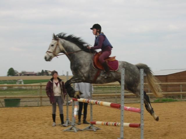 Photo de profil de shrewsbury