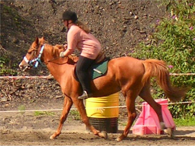 Photo de profil de siska_and_me