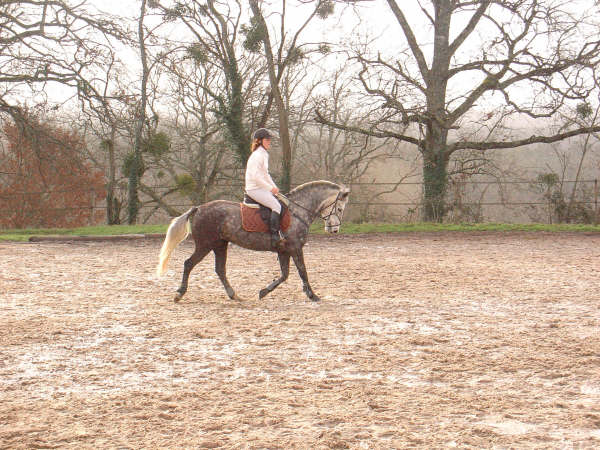 Photo de profil de sissa