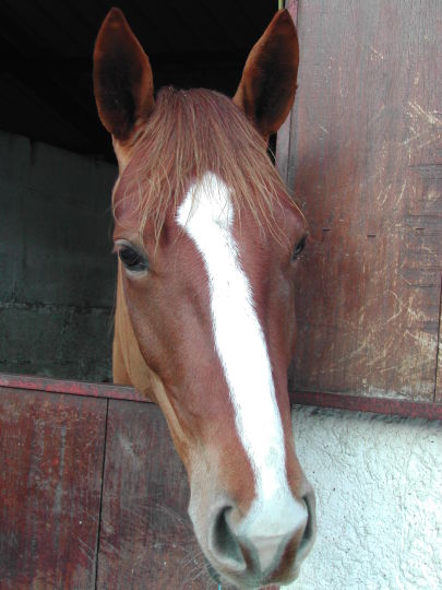 Photo de profil de so_ninie