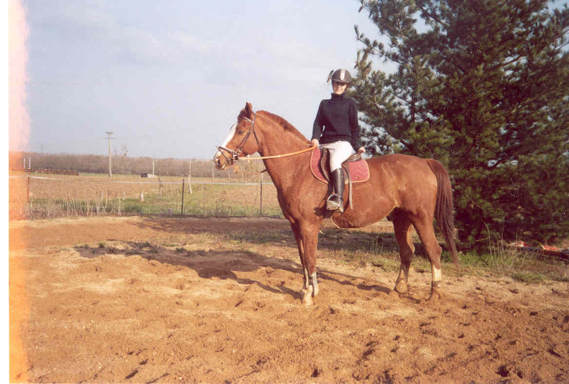 Photo de profil de subcheval71