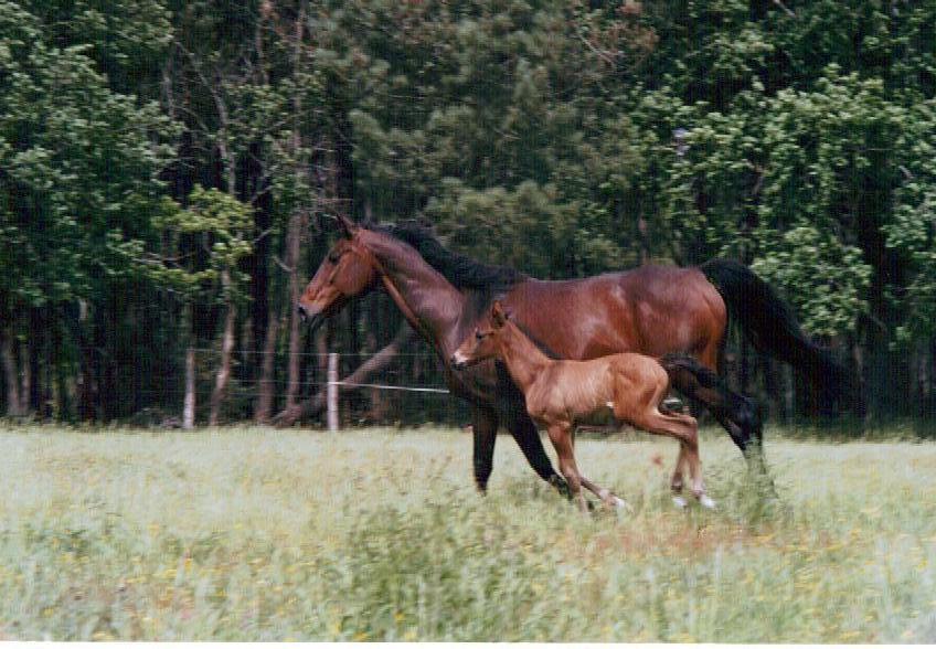 Photo de profil de sunshade