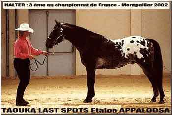 Photo de profil de taouka