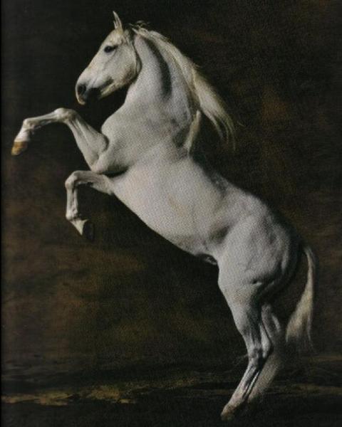 Photo de profil de texas95110