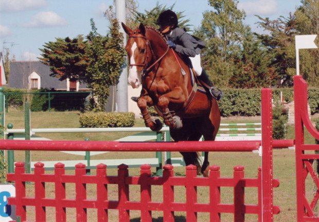 Photo de profil de thidara